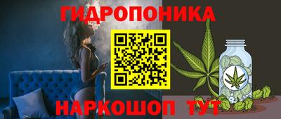 spice Будённовск